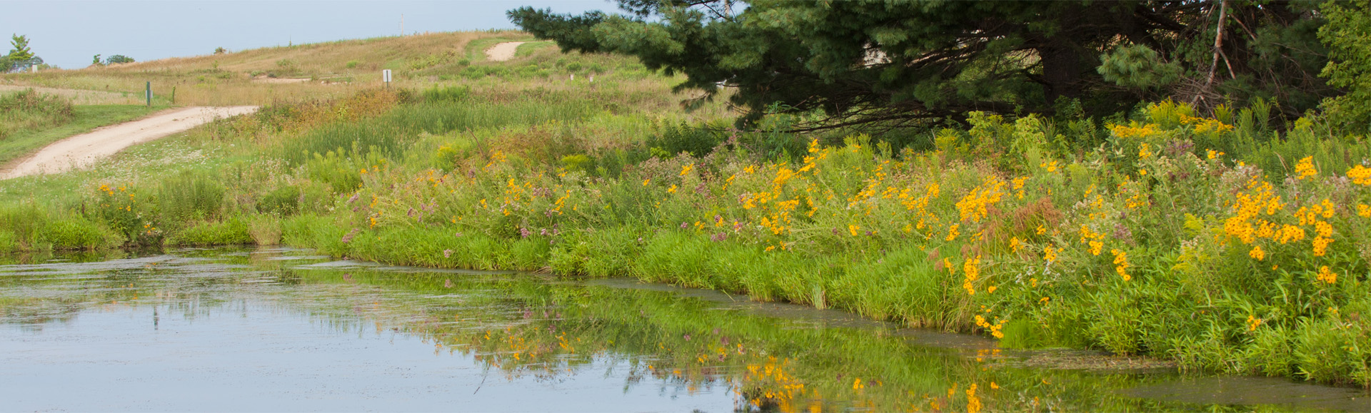 Building Community, Respecting Nature