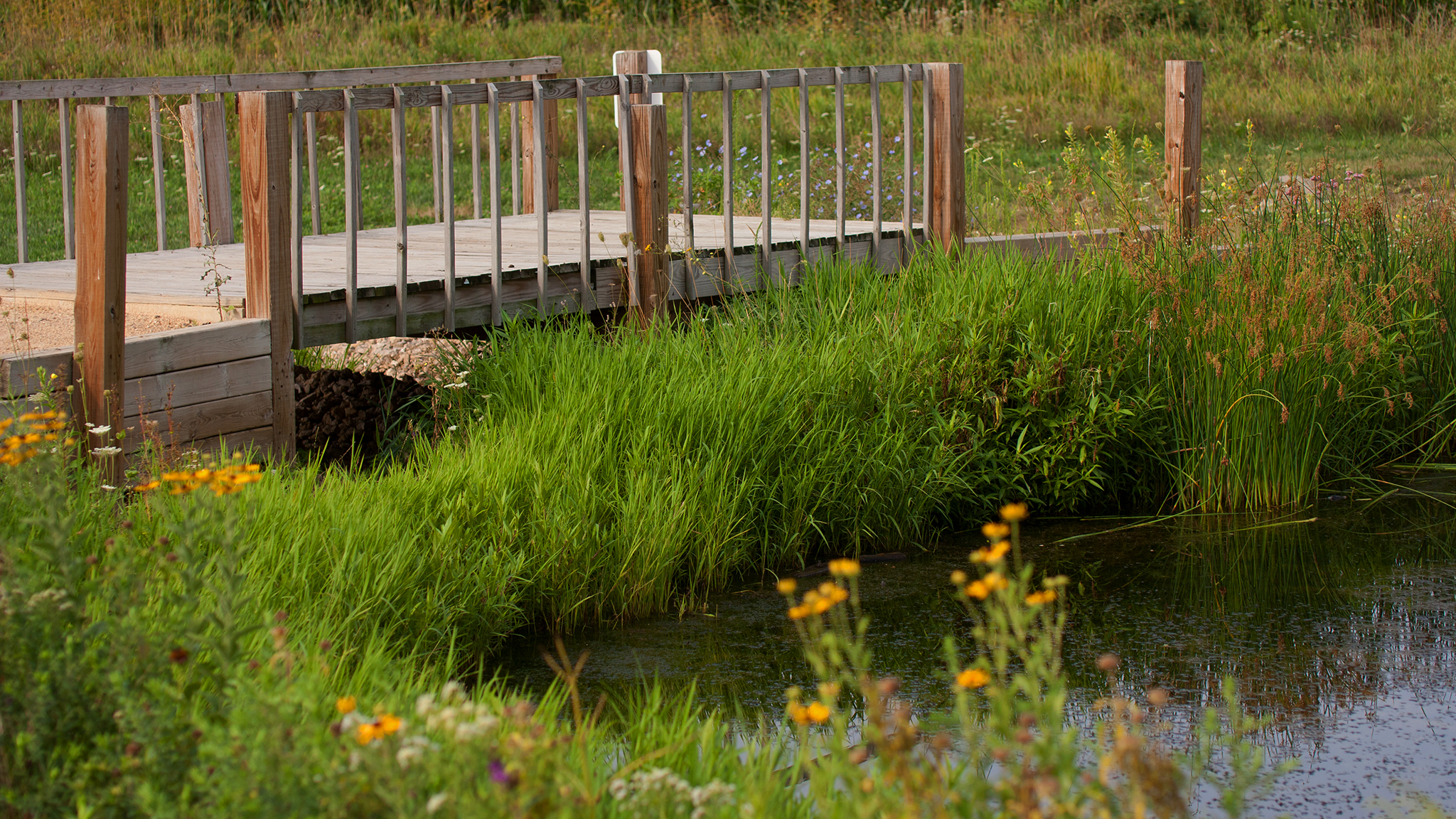 Building Community, Respecting Nature