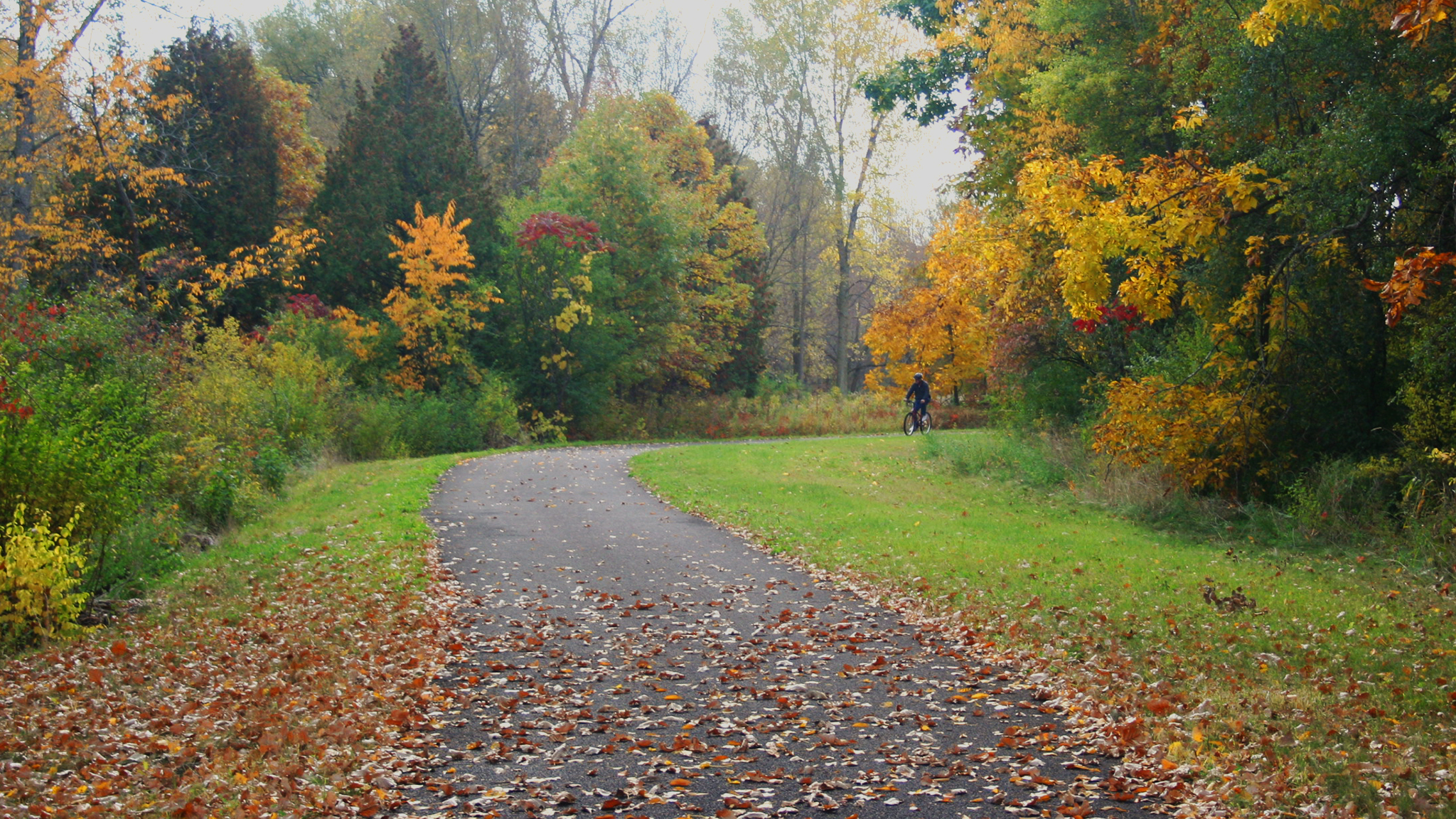 Building Community, Respecting Nature